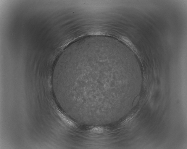 X0000062620441200601041009