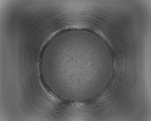 X0000062620444200601041009