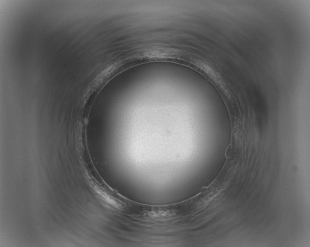 X0000062620445200601041009