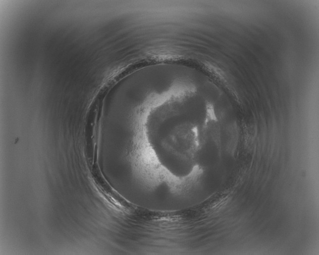 X0000062620447200601041009