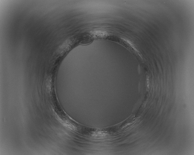 X0000062620451200601041009