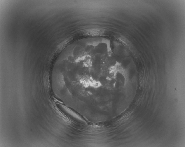 X0000062620453200601041009