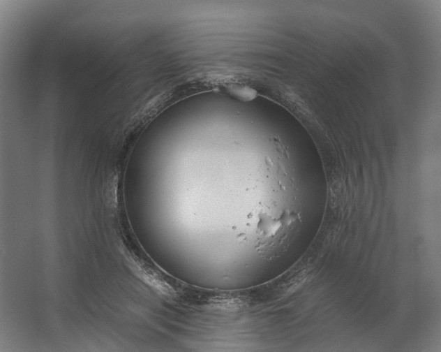 X0000062620454200601041009