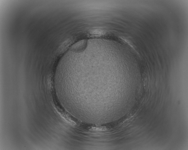 X0000062620455200601041009