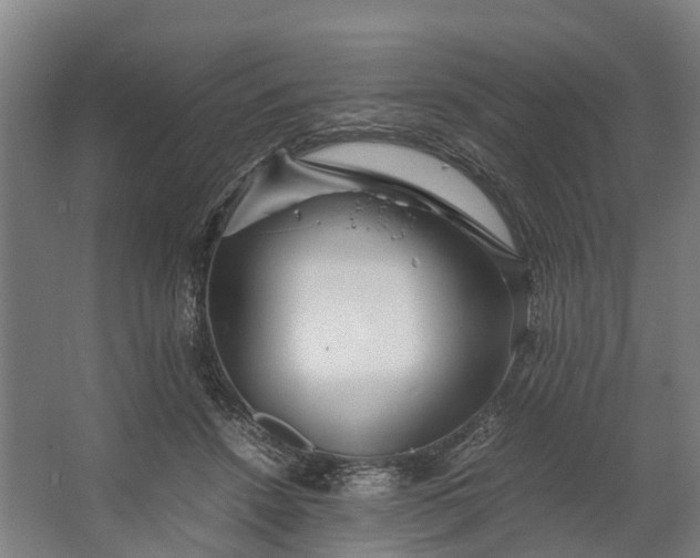 X0000062620456200601041009