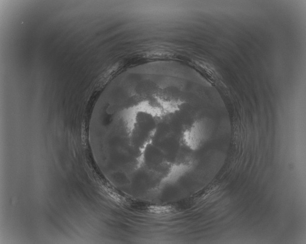 X0000062620457200601041009