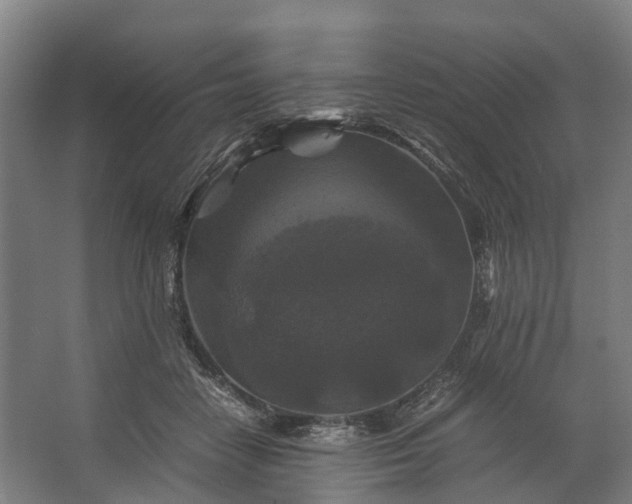 X0000062620458200601041009