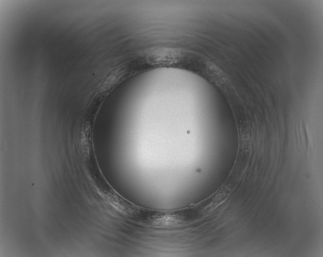 X0000062620460200601041009