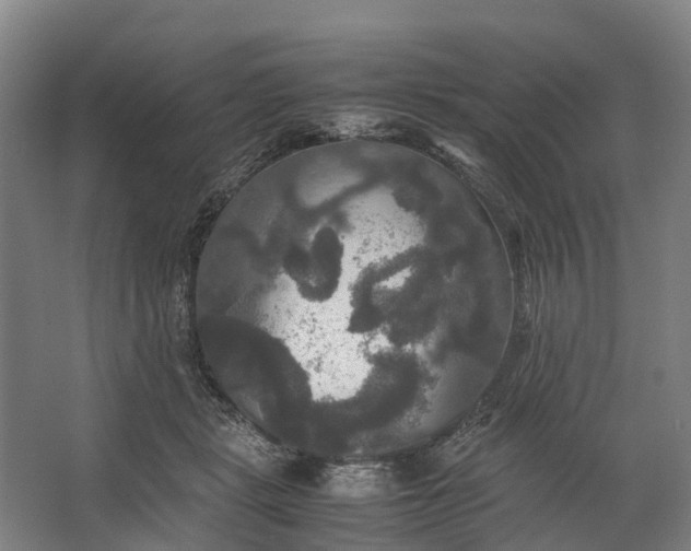 X0000062620461200601041009