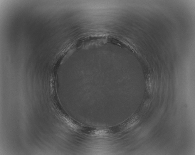 X0000062620462200601041010