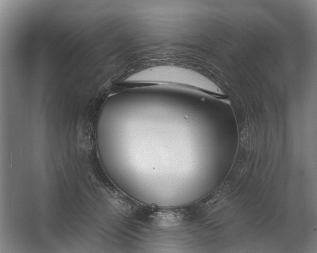 X0000062620464200601041010