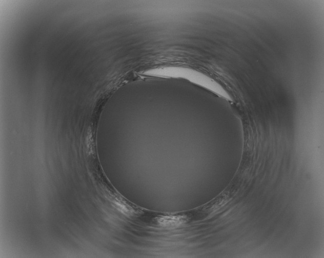 X0000062620465200601041010