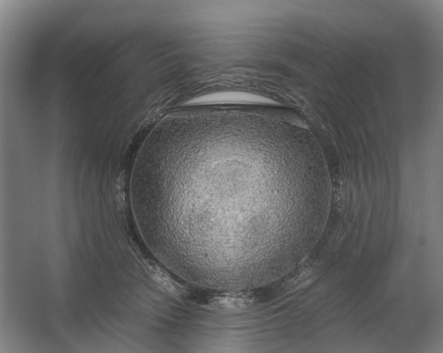 X0000062620466200601041010