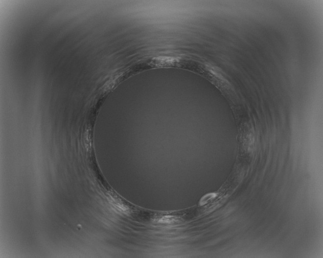 X0000062620467200601041010