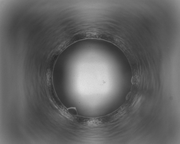 X0000062620468200601041010