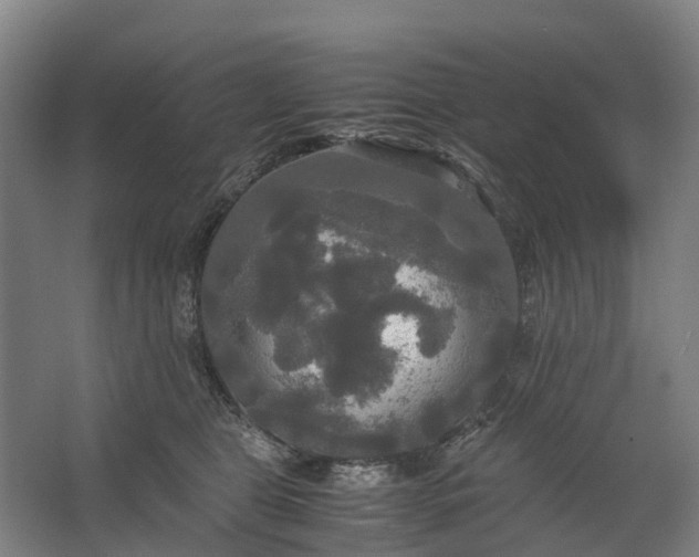 X0000062620469200601041010