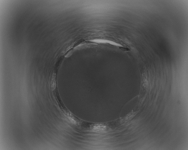 X0000062620471200601041010