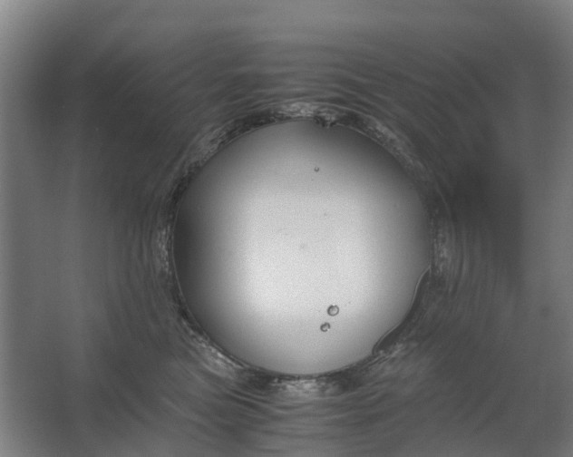 X0000062620473200601041010