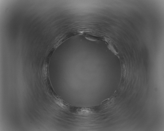 X0000062620475200601041010