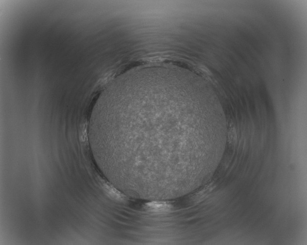 X0000062620477200601041010