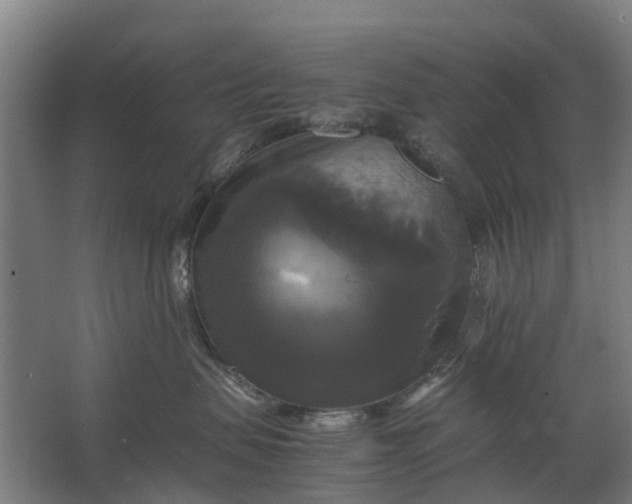 X0000062620479200601041010