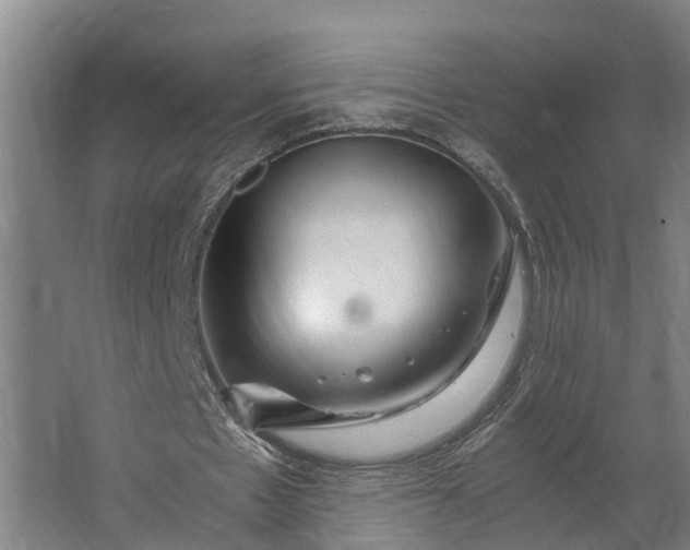 X0000062620481200601041009