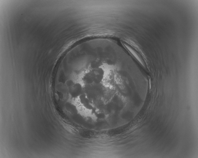 X0000062620483200601041009