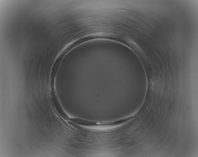 X0000062620484200601041009