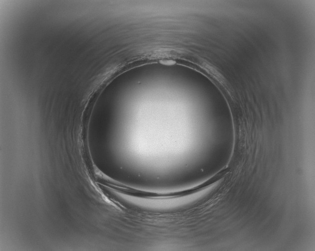 X0000062620485200601041009