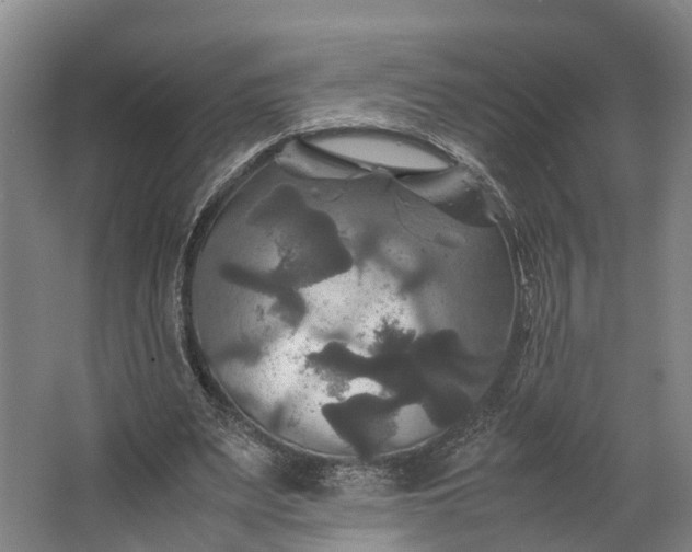 X0000062620487200601041009