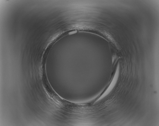 X0000062620488200601041009