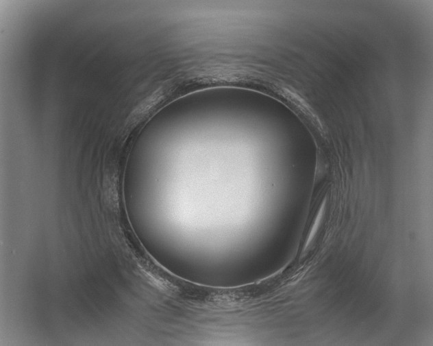 X0000062620489200601041009