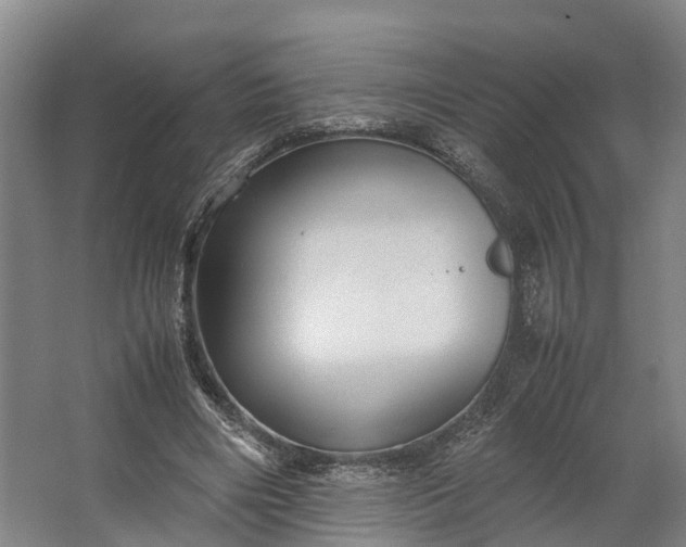 X0000062620490200601041009