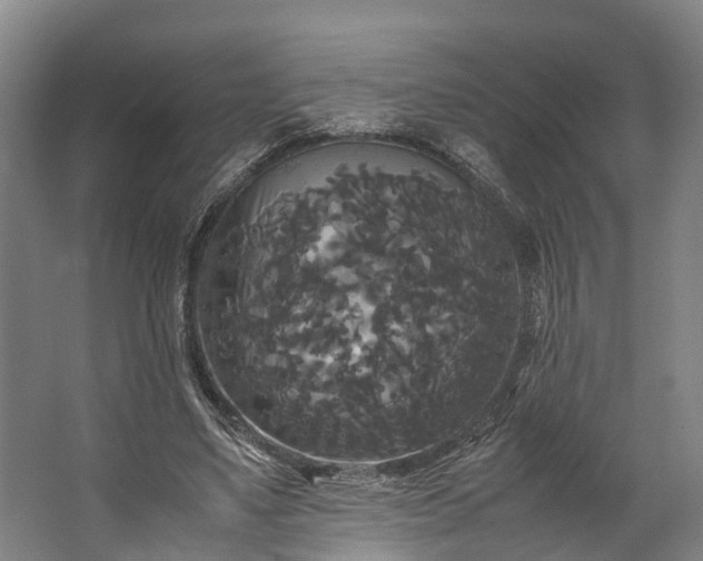 X0000062620491200601041009