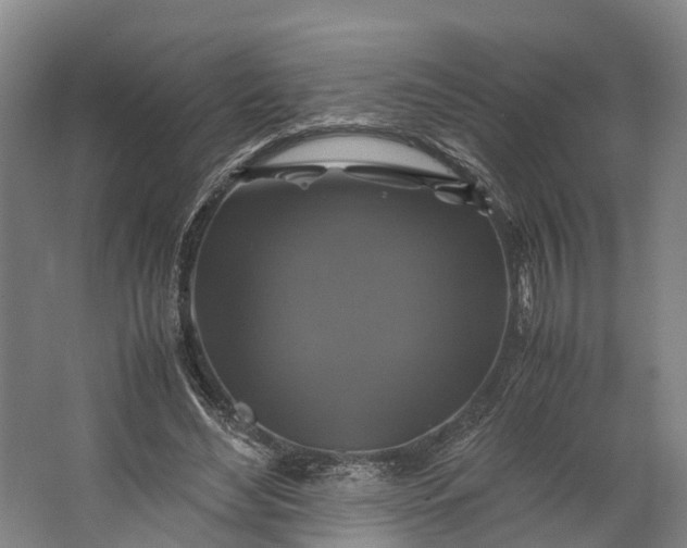 X0000062620492200601041009