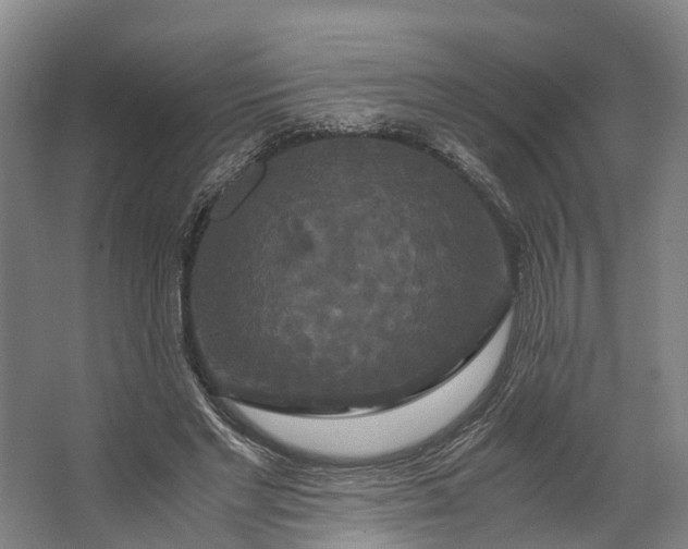 X0000062620493200601041009