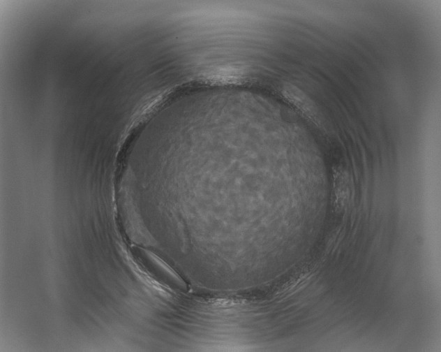 X0000062620494200601041009