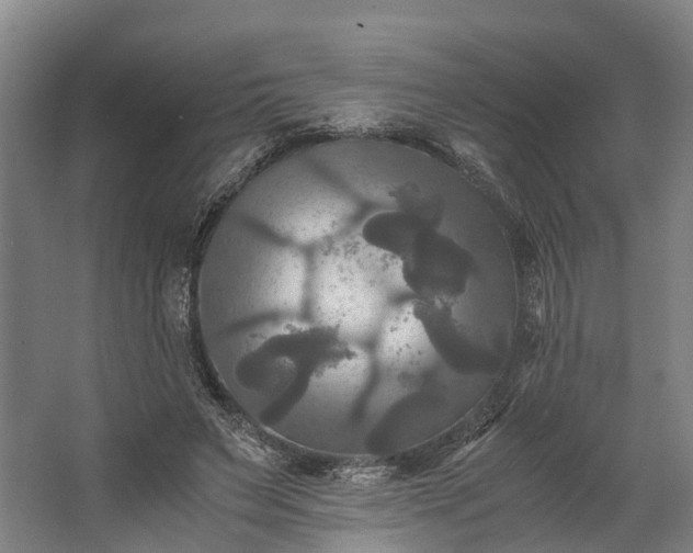 X0000062620495200601041009