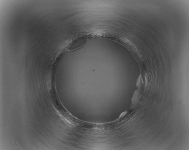 X0000062620496200601041009