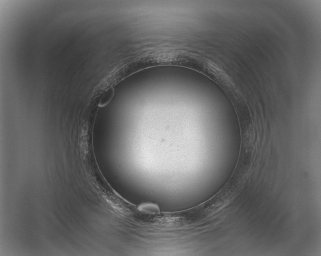 X0000062620497200601041009