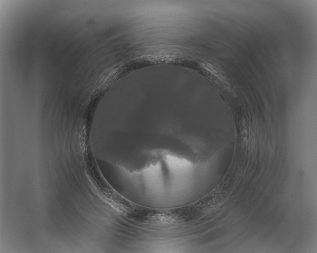 X0000062620498200601041009