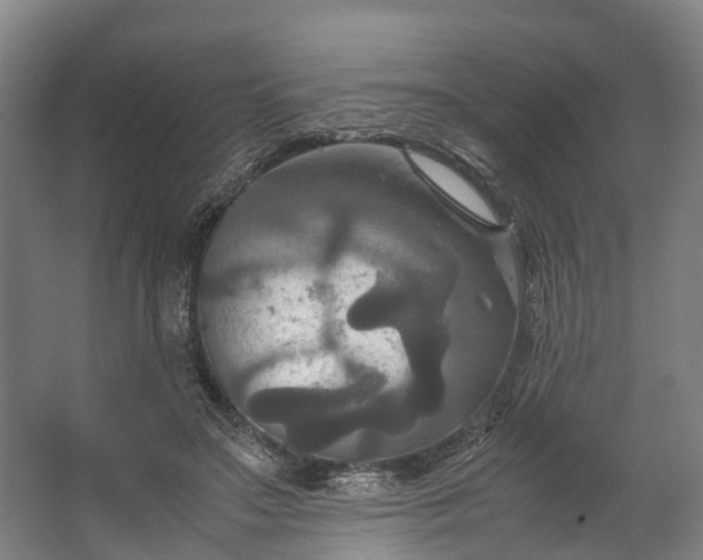 X0000062620499200601041009