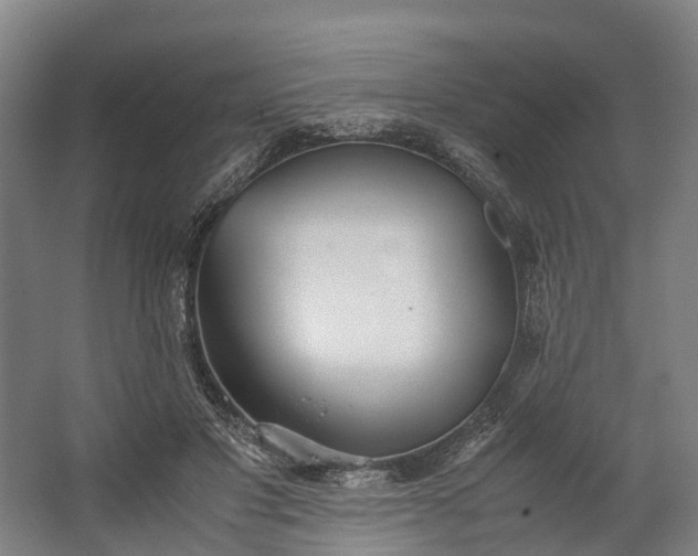 X0000062620501200601041009