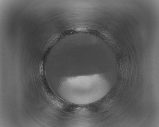 X0000062620502200601041009