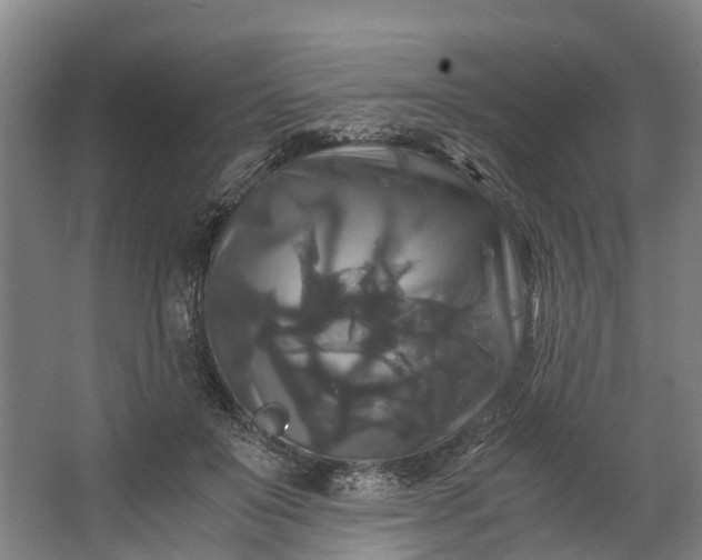 X0000062620503200601041009