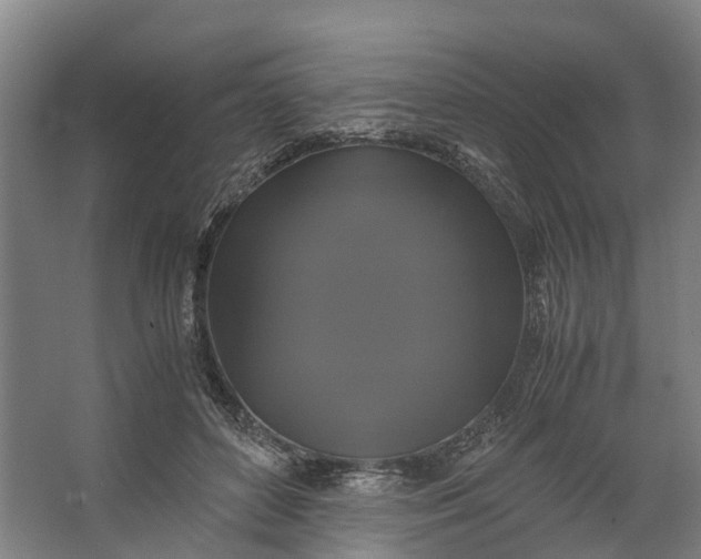 X0000062620504200601041009