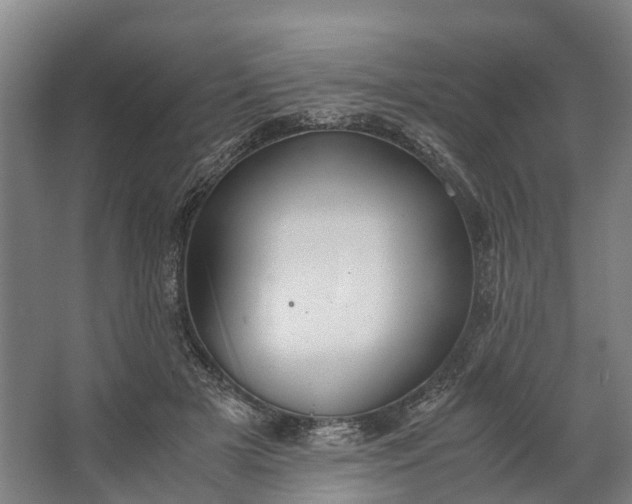 X0000062620505200601041009