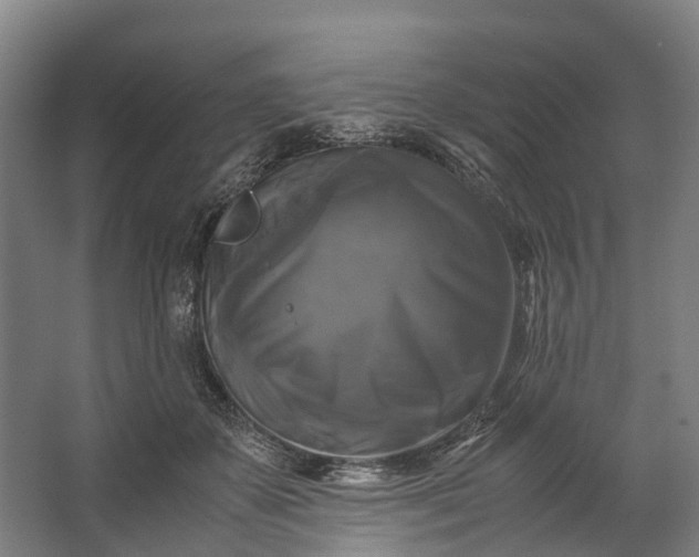 X0000062620507200601041009