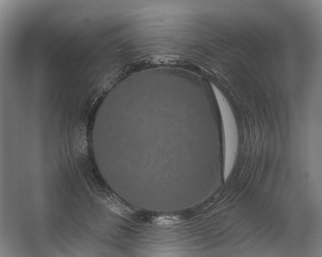 X0000062620508200601041009