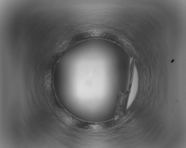 X0000062620509200601041009